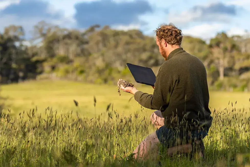 Farmer reviewing land data while planning solar for farms under the TAMS 3 scheme