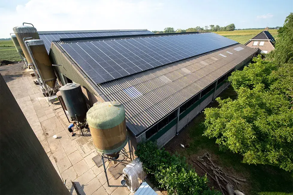 Solar panels for farms installed on agricultural buildings under TAMS 3 government grants